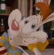 Roger Rabbit